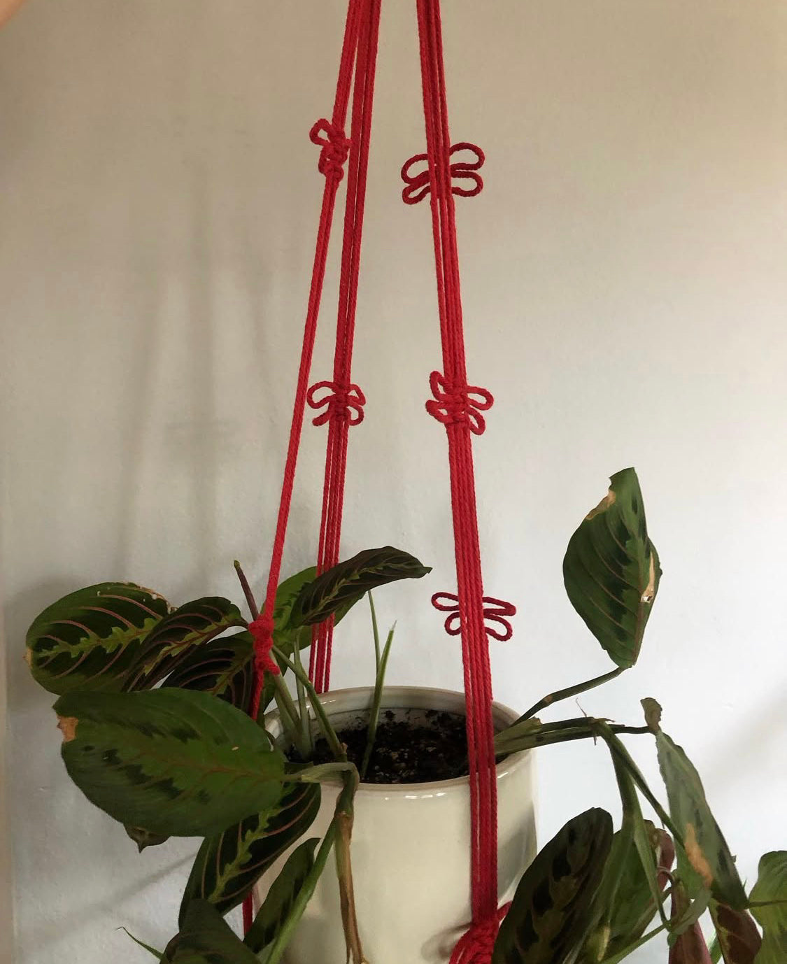 Butterfly Plant Hanger