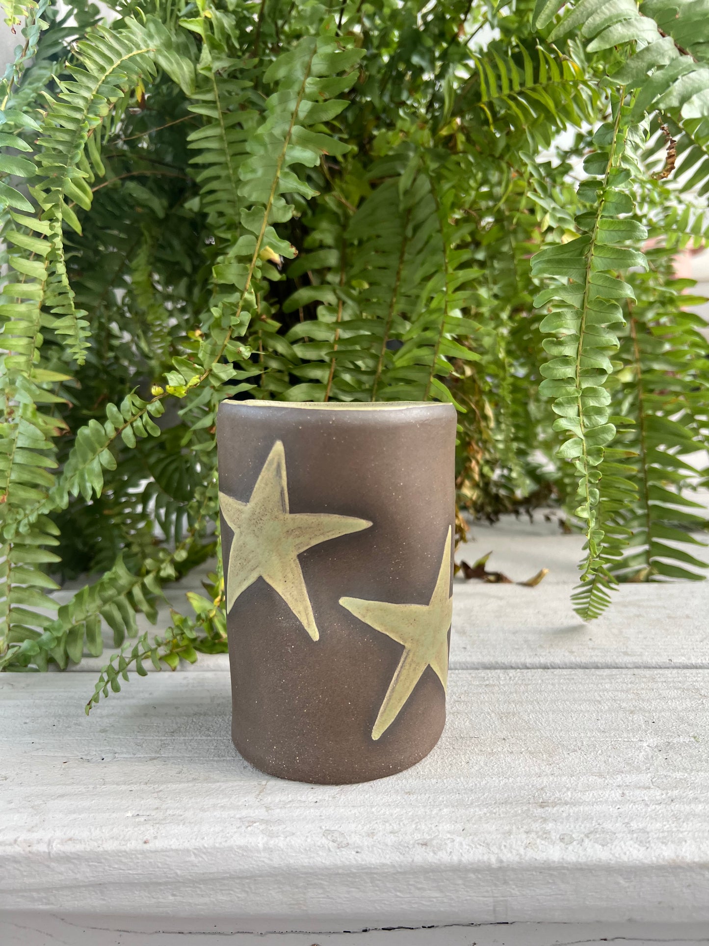 Green Star Mug on Brown Clay