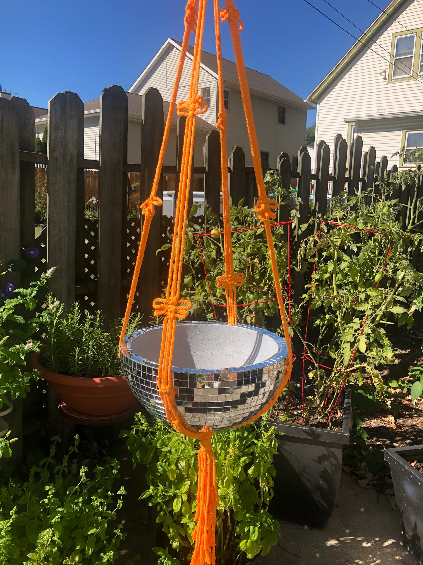 Disco Plant Hanger