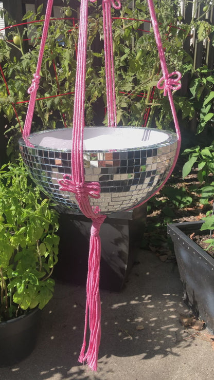 Disco Plant Hanger